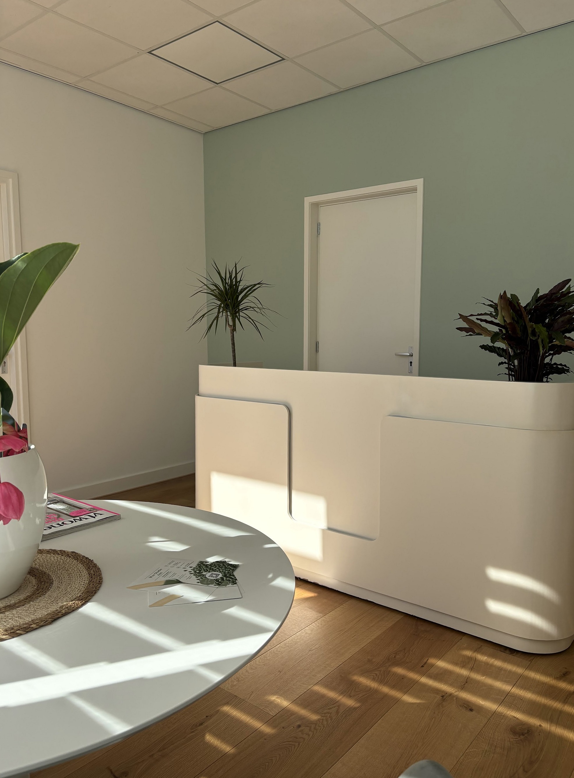 De ontvangst met de witte balie, een ronde tafel, planten en de saliegroene muur