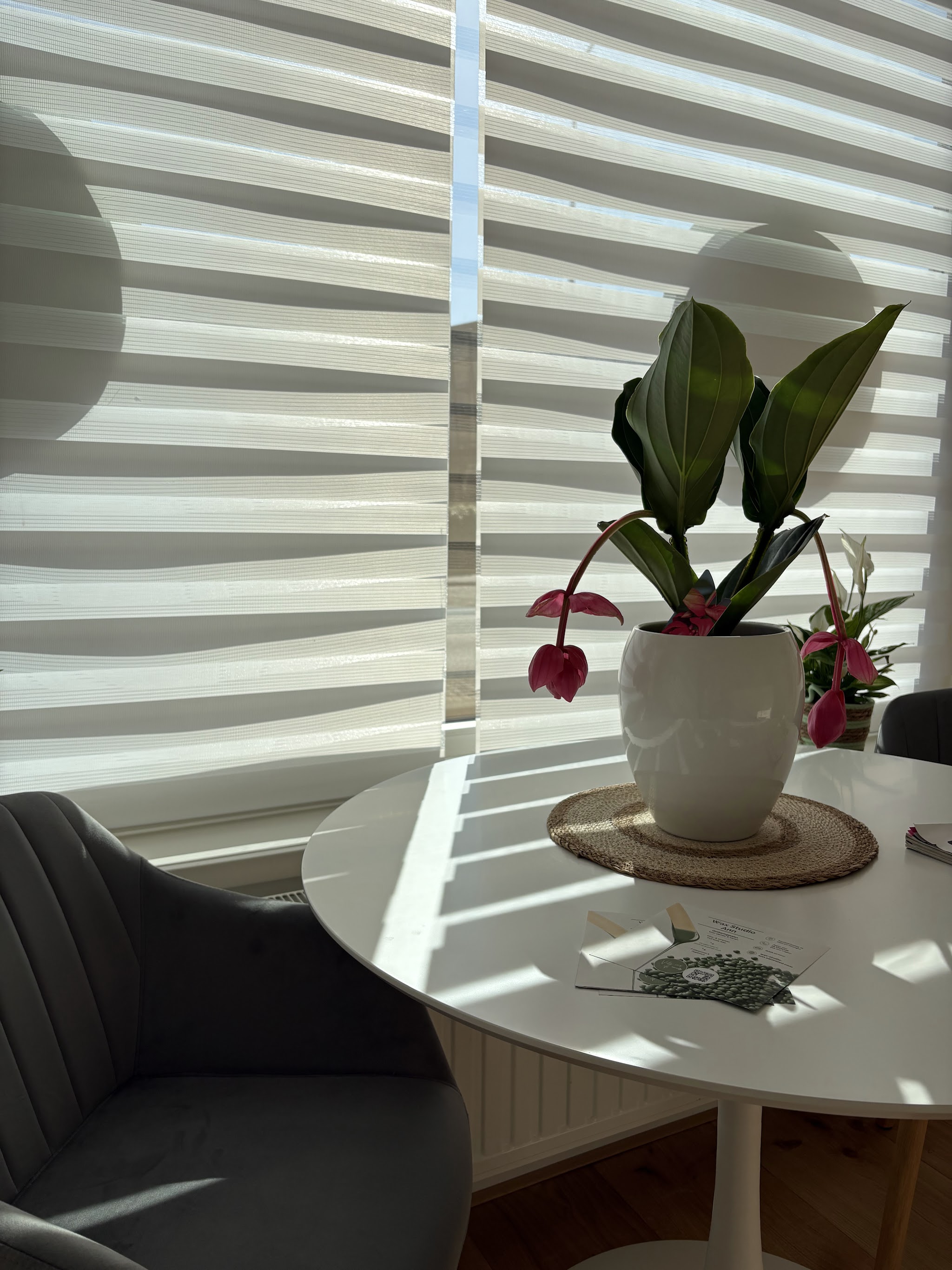 Ronde tafel met stoelen en een plant in het licht van het raam